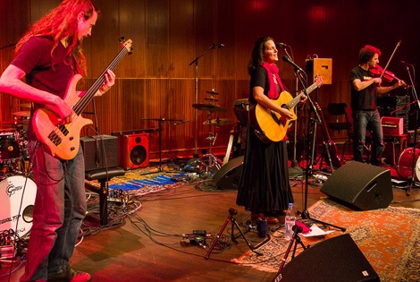 Trio Cats n Fruits live