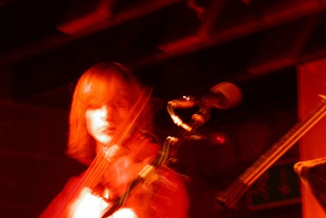 Fiddler