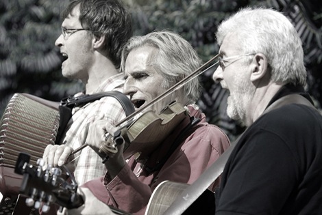 Trio Manfred Ulrich live